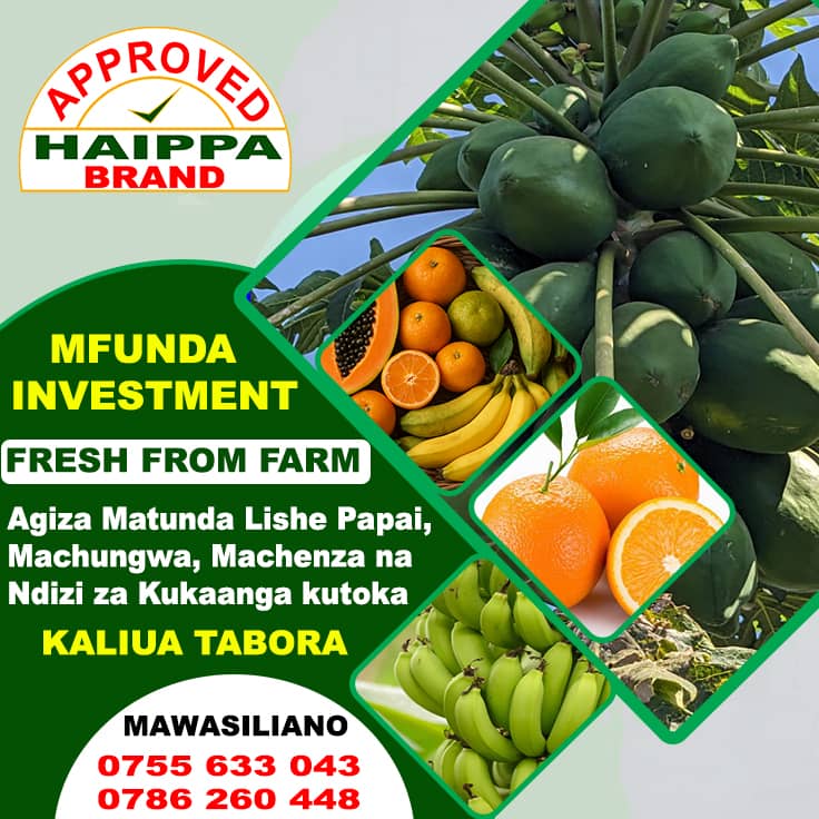 MAZAO BORA KUTOKA SHAMBANI